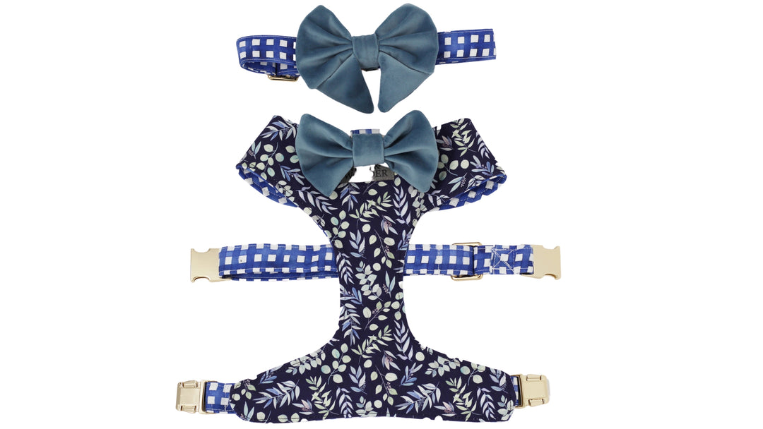 Navy floral print dog harness with blue velvet dog bow tie and navy plaid dog collar with blue velvet dog bow.