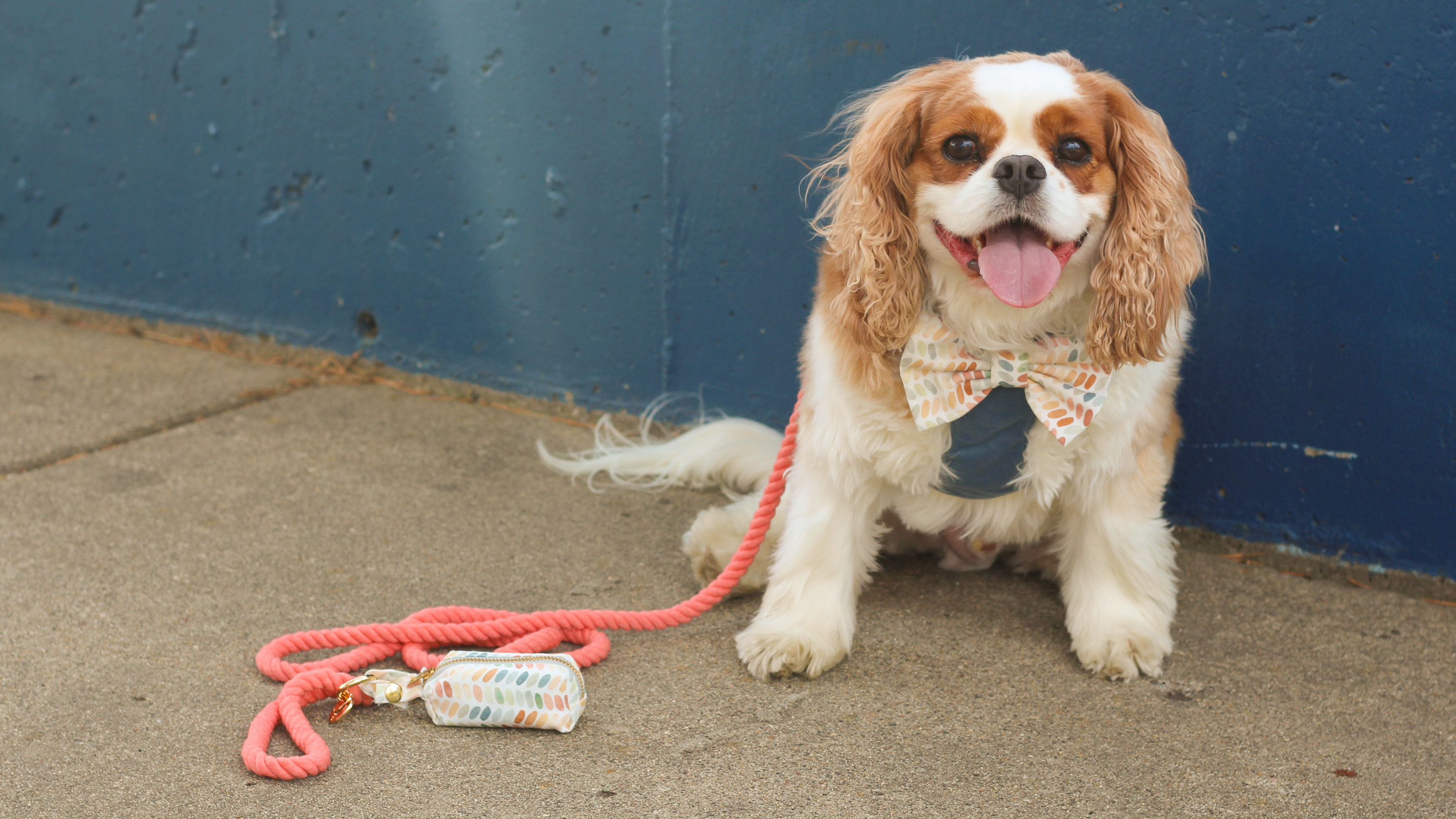 Walk Essentials