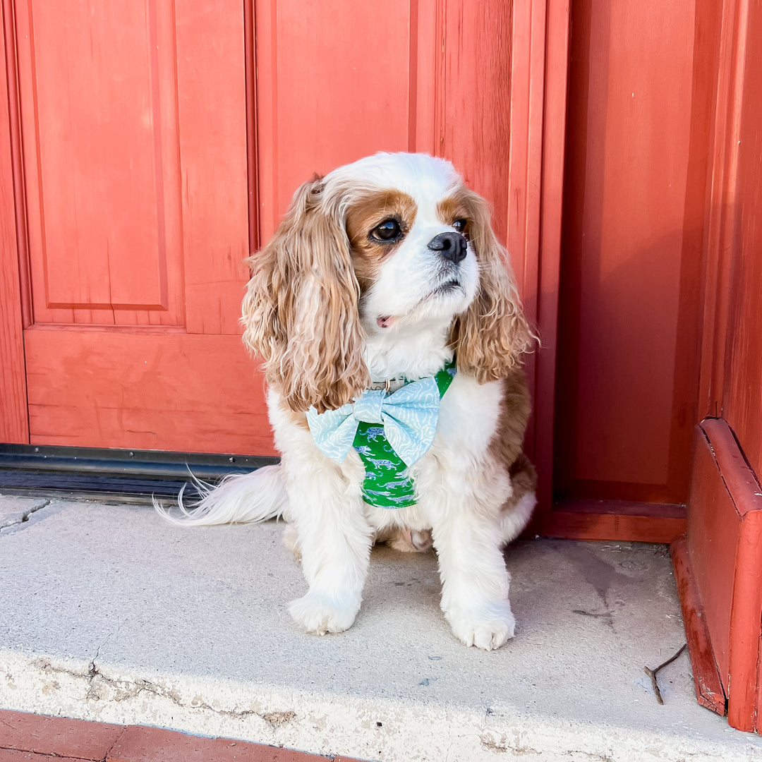 Endless Path Classic Dog Bow Tie