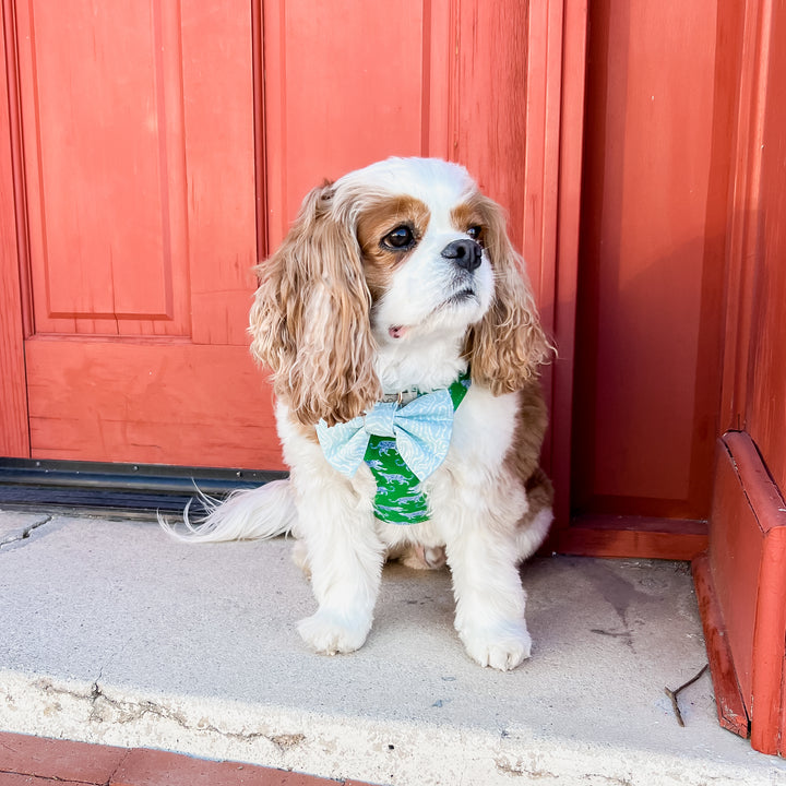 Leopard Parade Reversible Dog Harness + Bow Tie Walk Set