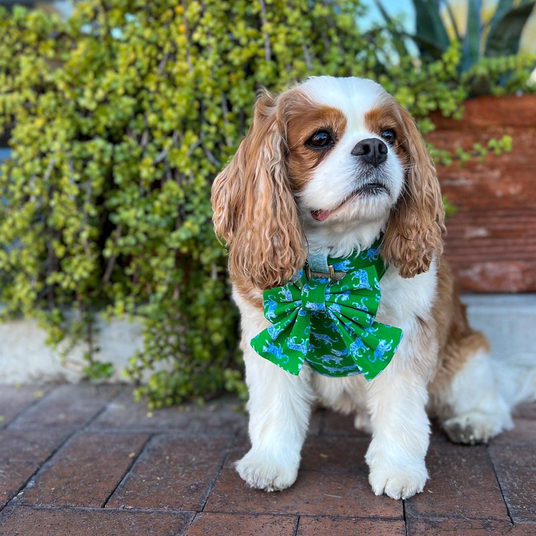 Leopard Parade Reversible Dog Harness + Sailor Bow Walk Set