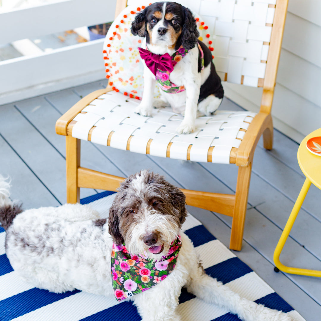 Mulberry Bouquet Reversible Dog Harness + Bow Tie Walk Set