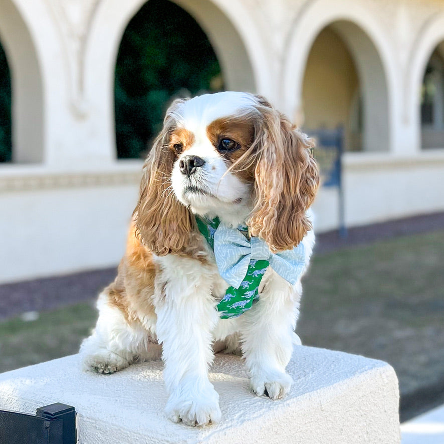 Leopard Parade Reversible Dog Harness + Bow Tie