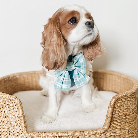 Seaside Reversible Dog Harness