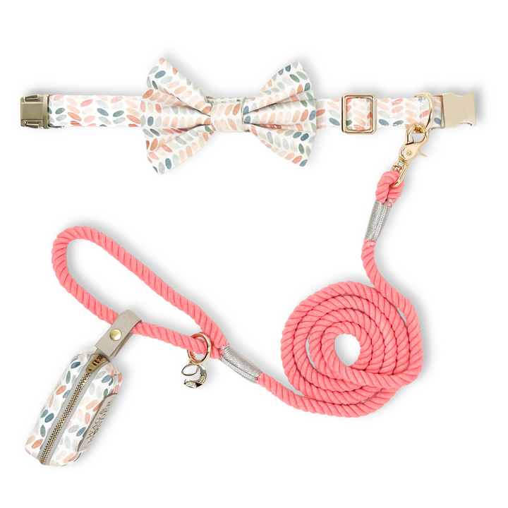 Arctic Sky Classic Dog Collar + Bow Tie Walk Set