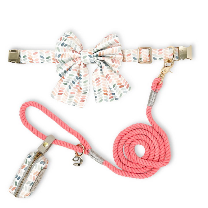 Arctic Sky Classic Dog Collar + Sailor Bow Walk Set