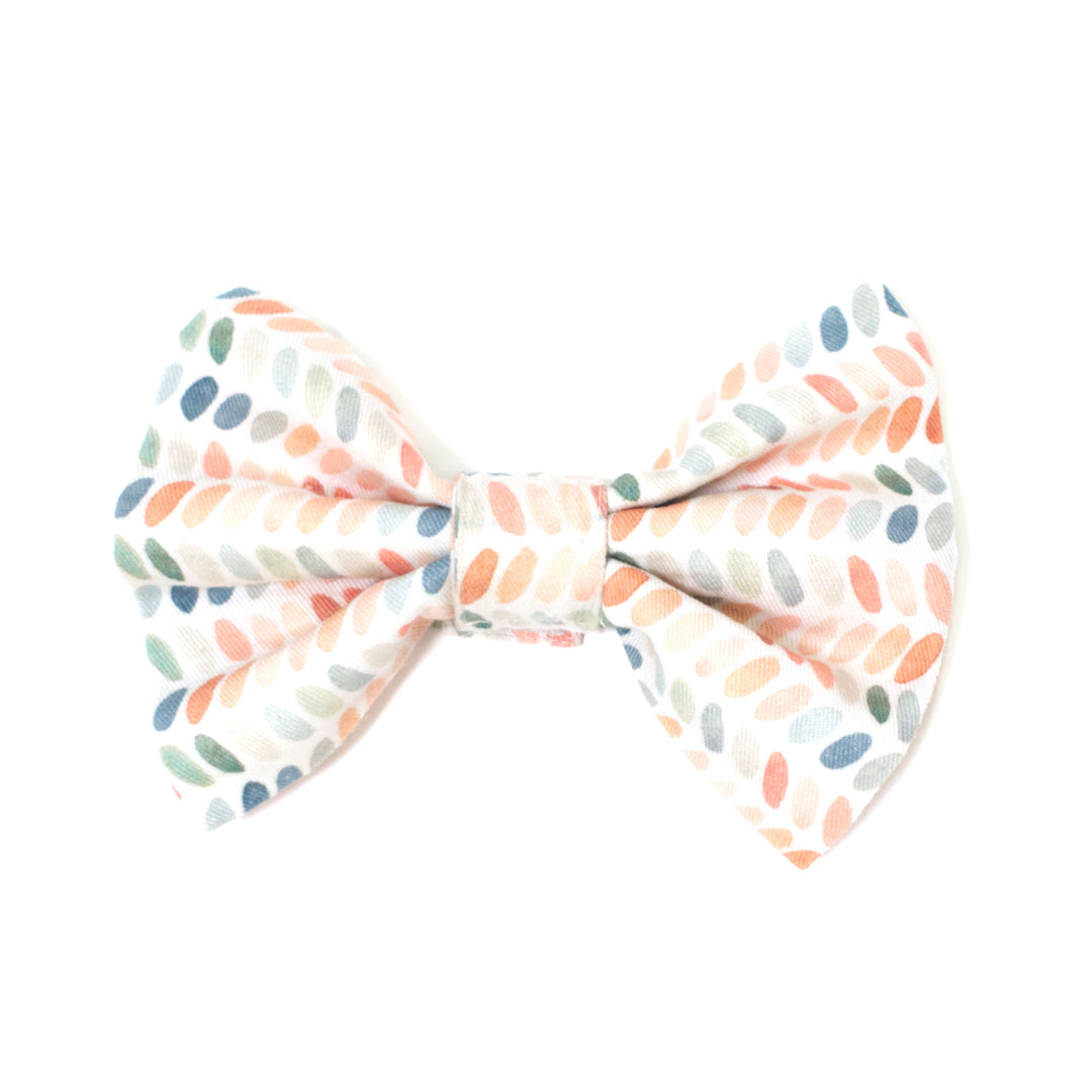 Polka dot dog bow tie