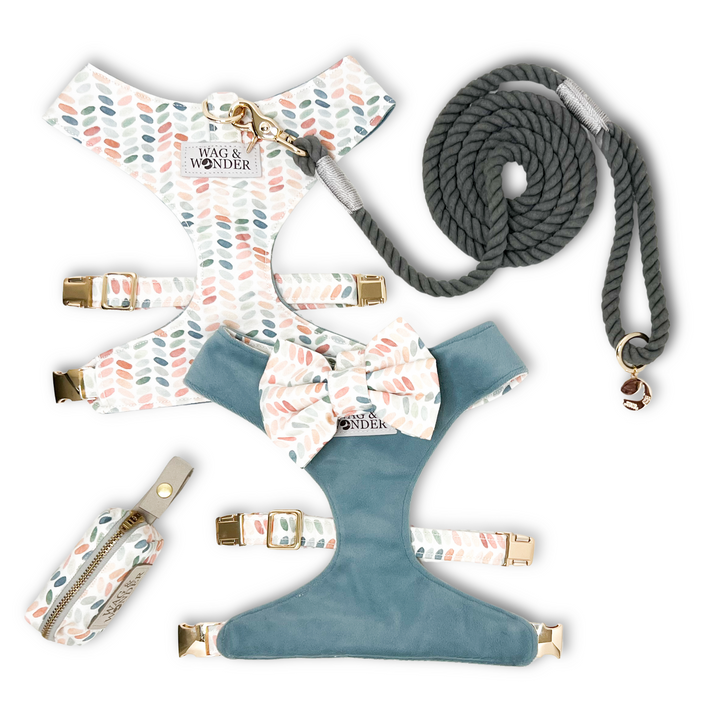 Arctic Sky Reversible Dog Harness + Bow Tie Stone Walk Set