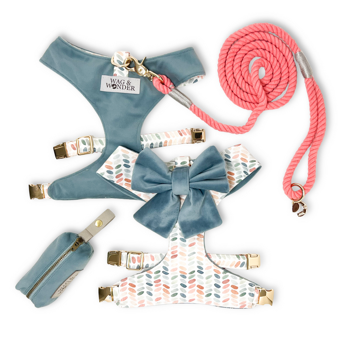 Arctic Sky Reversible Dog Harness + Sailor Bow Spiced Coral Walk Set