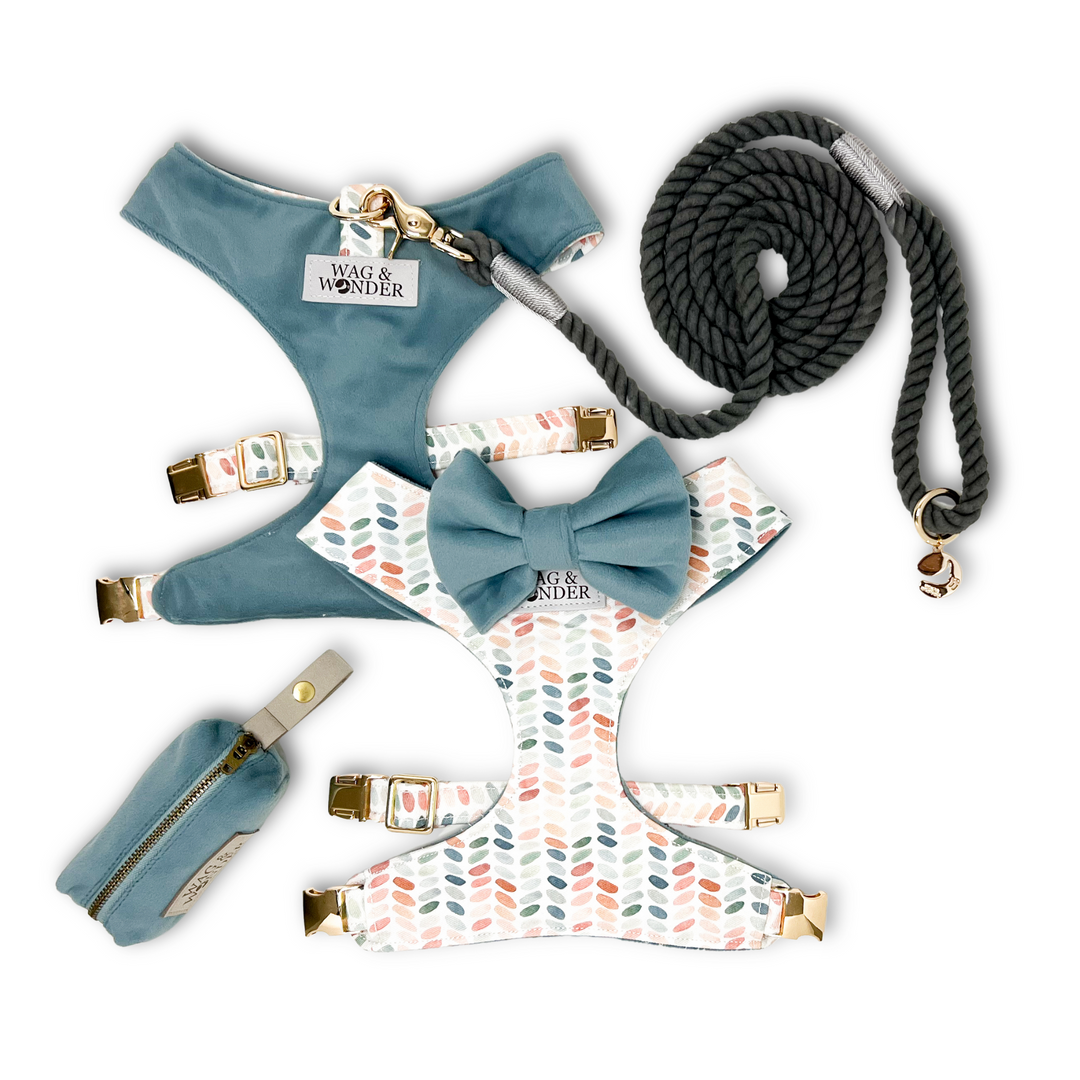 Arctic Sky Reversible Dog Harness + Bow Tie Stone Walk Set