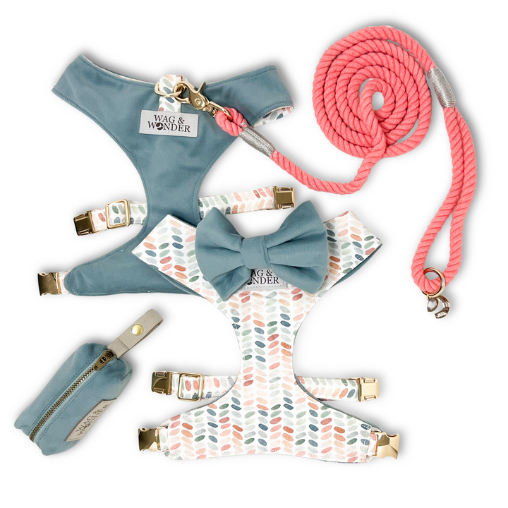 Arctic Sky Reversible Dog Harness + Bow Tie Spiced Coral Walk Set