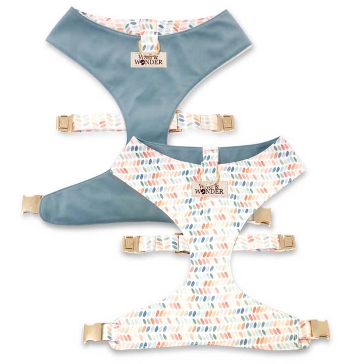 Arctic Sky Reversible Dog Harness + Sailor Bow Spiced Coral Walk Set