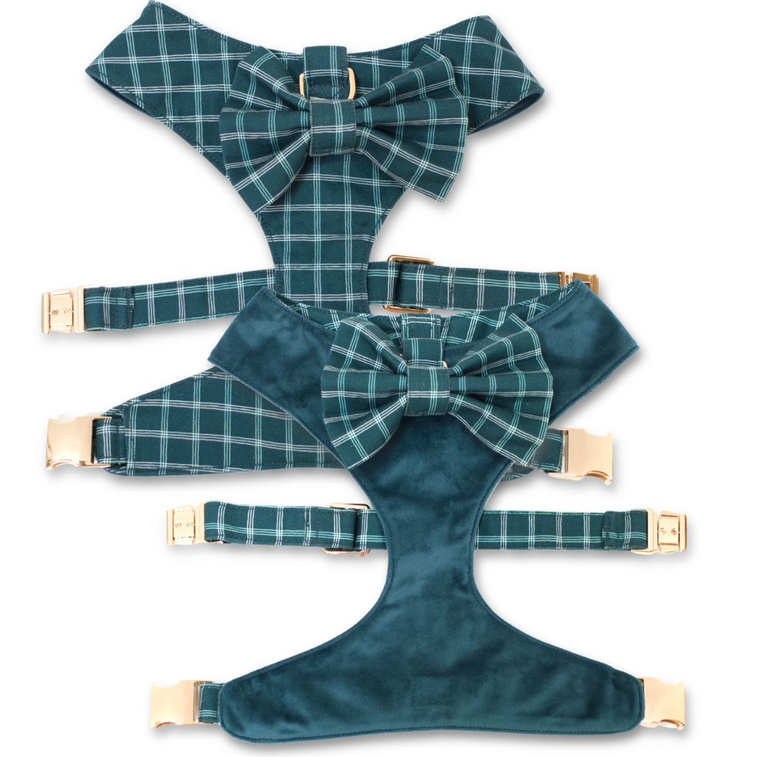 Atlantic Waves Reversible Dog Harness + Bow Tie