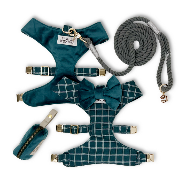 Atlantic Waves Reversible Dog Harness + Bow Tie Walk Set