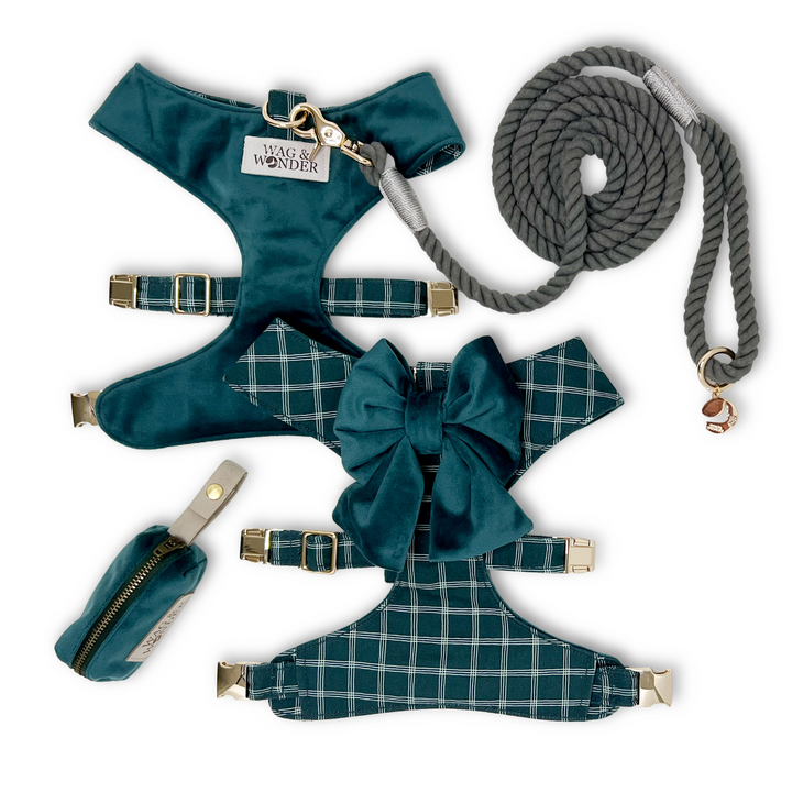 Atlantic Waves Reversible Dog Harness + Sailor Bow Walk Set