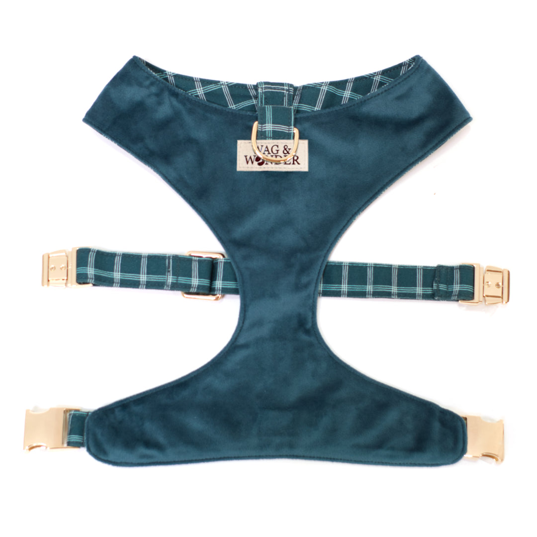 Teal velvet reversible dog harness with gold hardware.