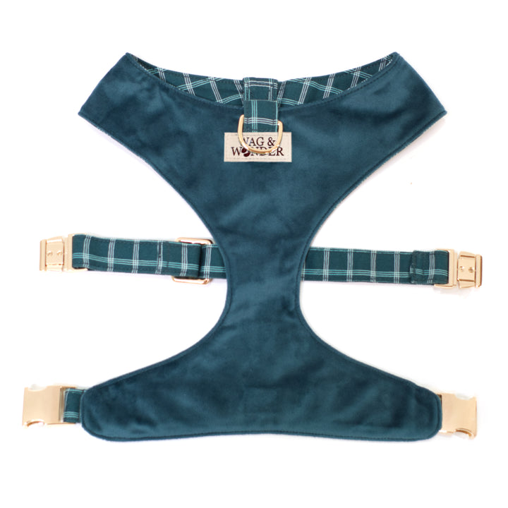 Dark teal velvet dog harness with gold hardware