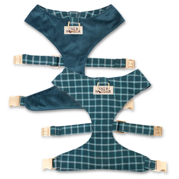 Atlantic Waves Reversible Dog Harness + Bow Tie Walk Set