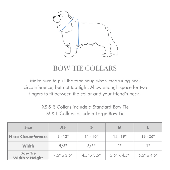 Velvet Meadow Classic Dog Collar + Bow Tie