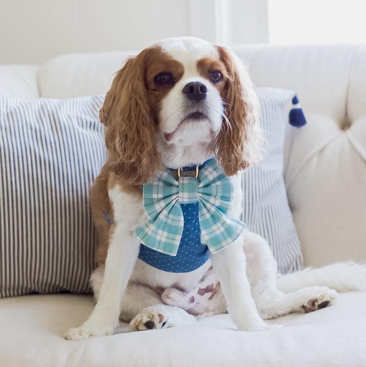 Seaside Plaid Sailor Dog Bow