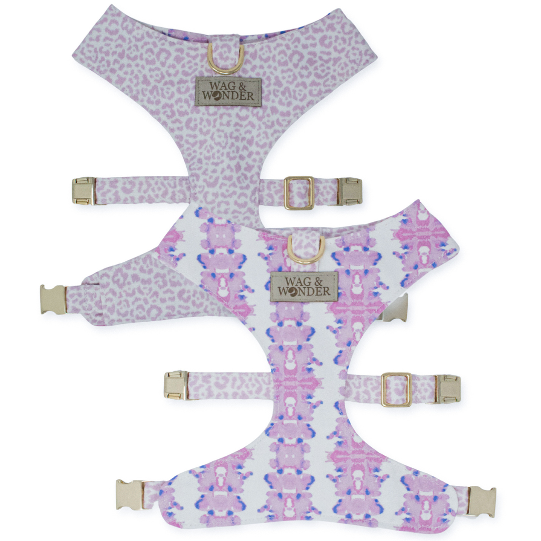 French Lavender Reversible Dog Harness + Bow Tie Walk Set