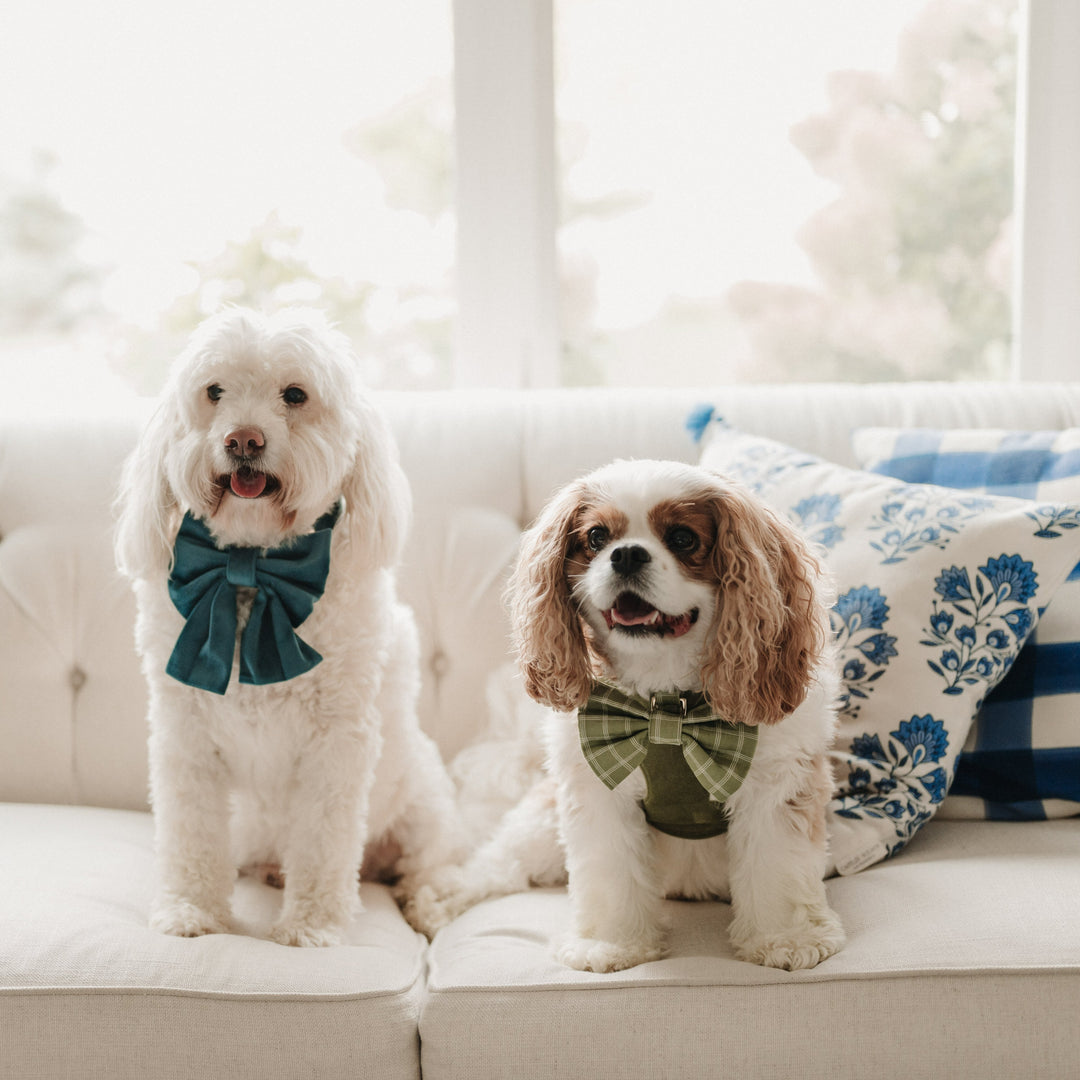 Meadow Windowpane Classic Dog Bow Tie