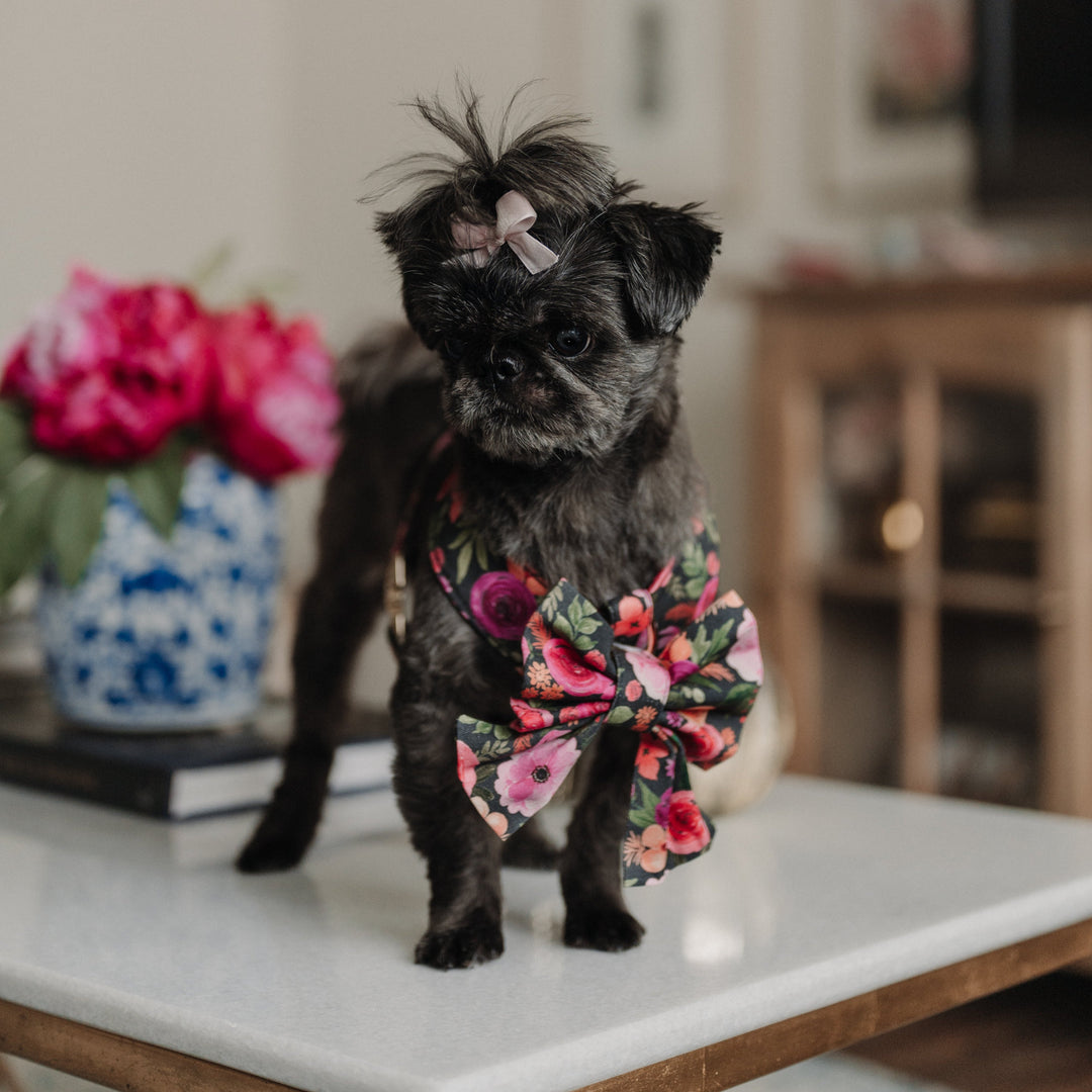 Mulberry Bouquet Reversible Dog Harness + Sailor Bow Walk Set