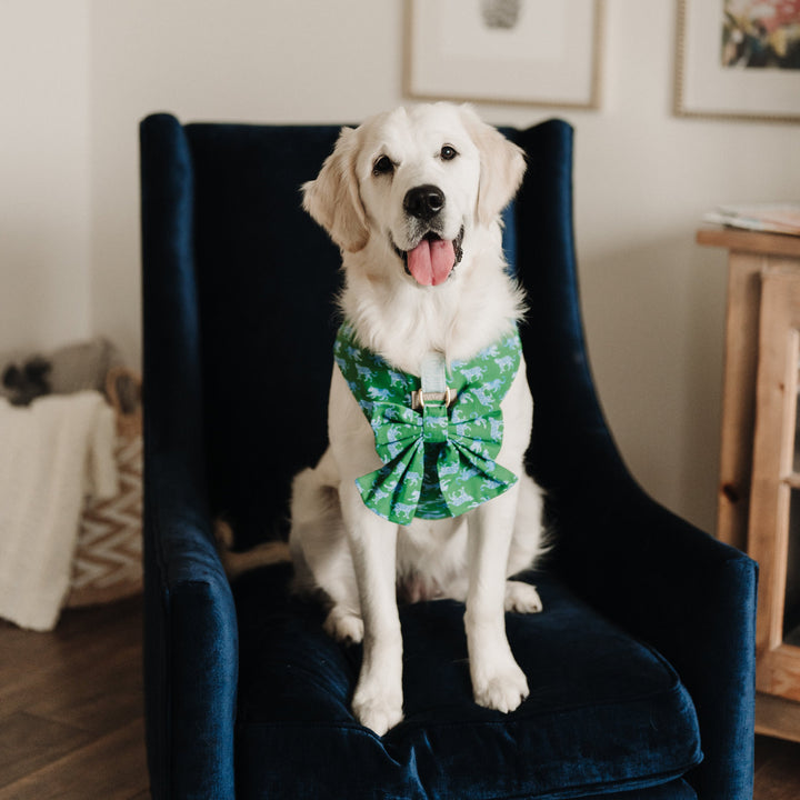 Leopard Parade Sailor Dog Bow