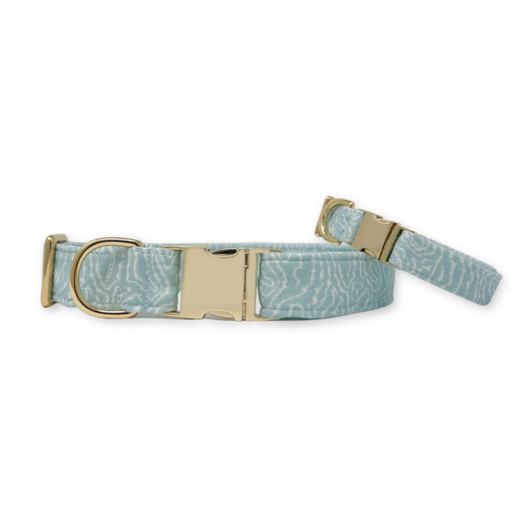 Endless Path Classic Dog Collar + Sailor Bow