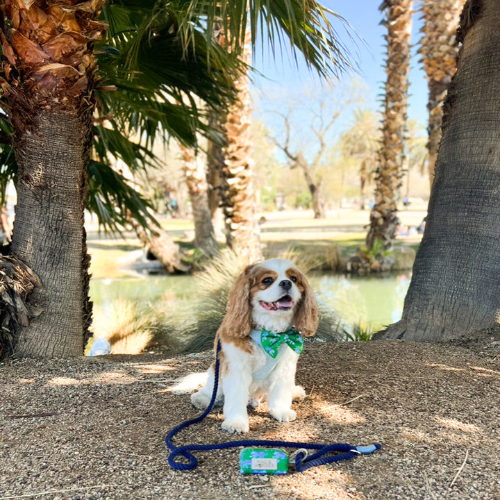 Leopard Parade Reversible Dog Harness