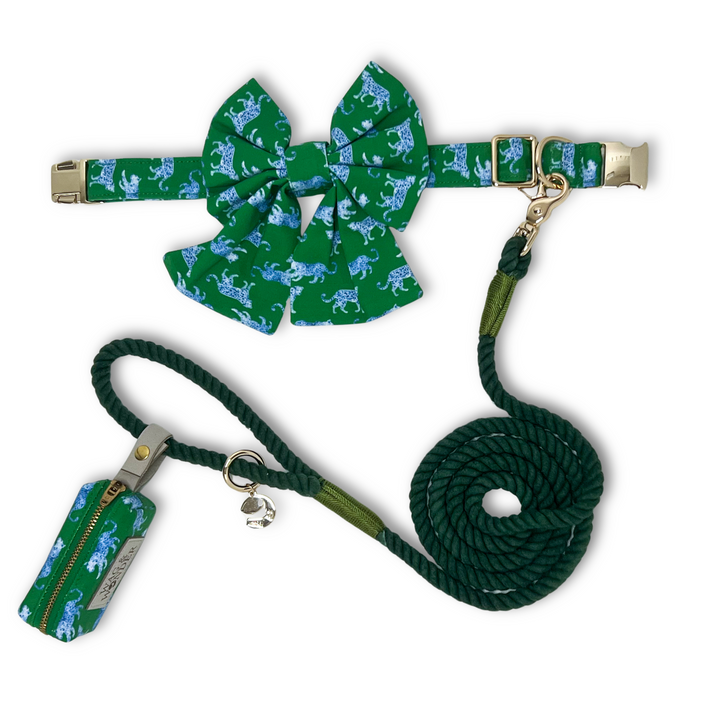 Leopard Parade Classic Dog Collar + Sailor Bow Walk Set