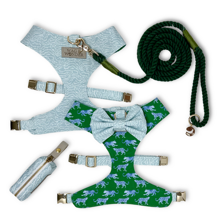 Leopard Parade Reversible Dog Harness + Bow Tie Walk Set