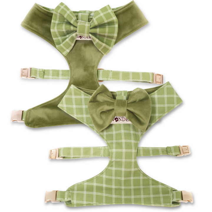 Meadow Reversible Dog Harness + Bow Tie