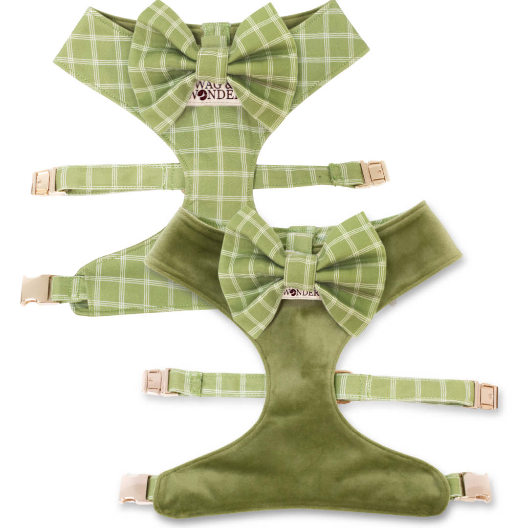 Meadow Reversible Dog Harness + Bow Tie