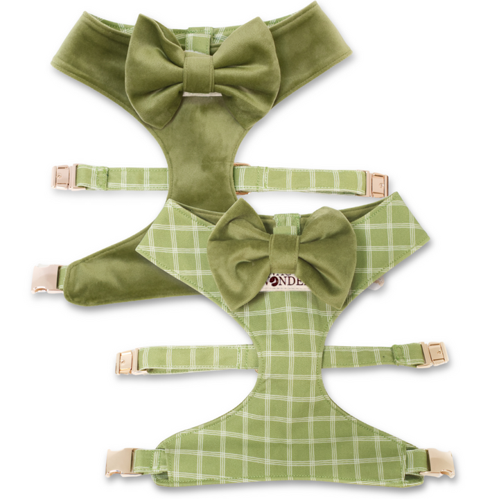 Meadow Reversible Dog Harness + Bow Tie