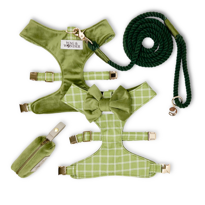 Meadow Reversible Dog Harness + Bow Tie Walk Set