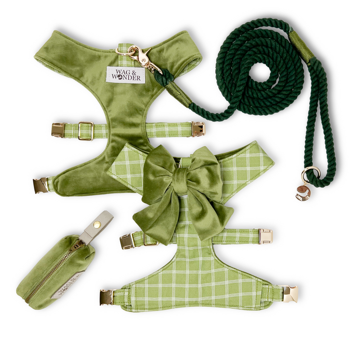 Meadow Reversible Dog Harness + Sailor Bow Walk Set