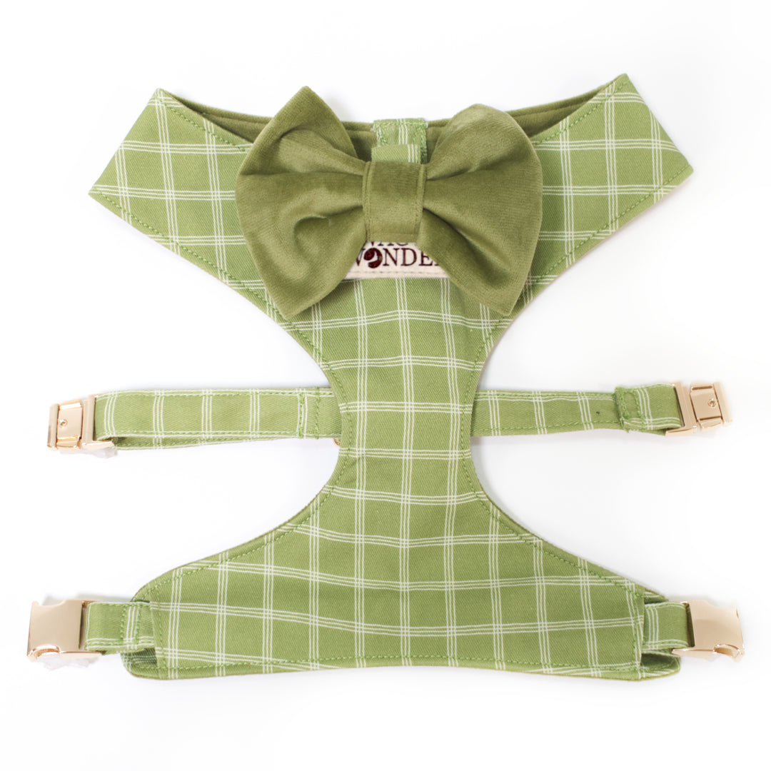 Spring green triple windowpane plaid reversible dog harness with gold hardware and velvet dog bow tie