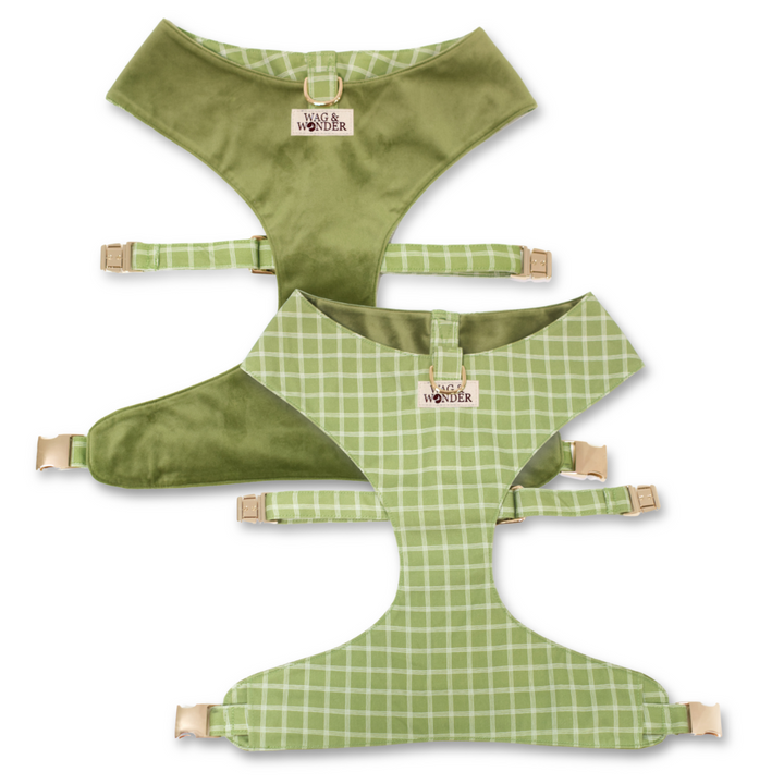 Meadow Reversible Dog Harness + Bow Tie Walk Set