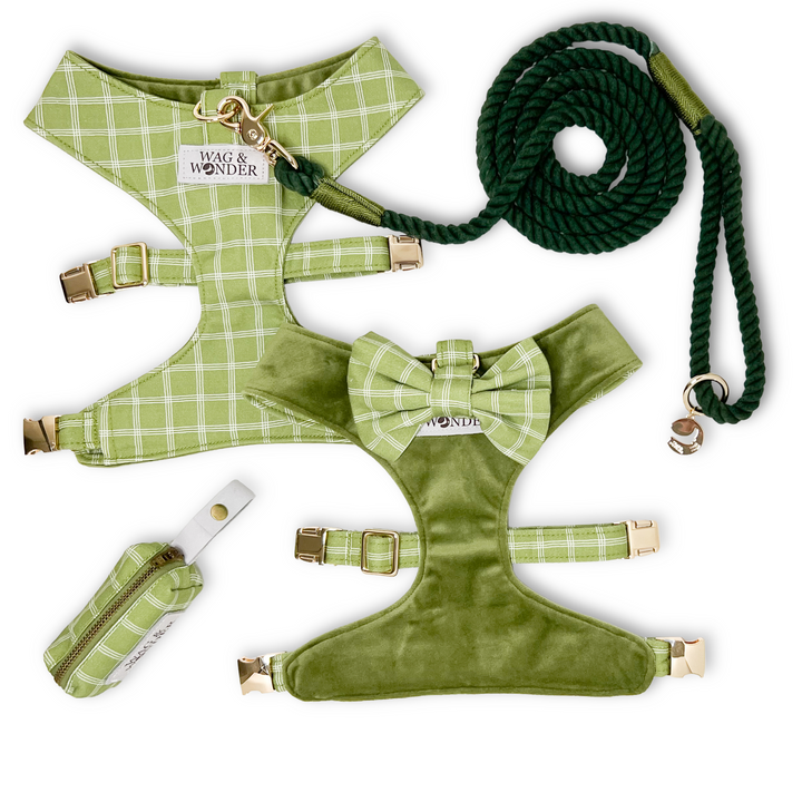 Meadow Reversible Dog Harness + Bow Tie Walk Set