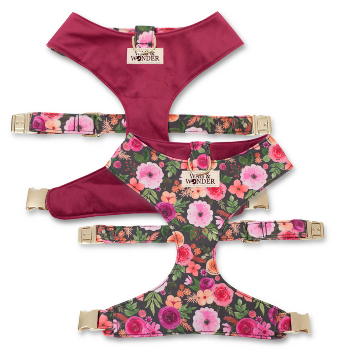 Mulberry Bouquet Reversible Dog Harness + Sailor Bow Walk Set