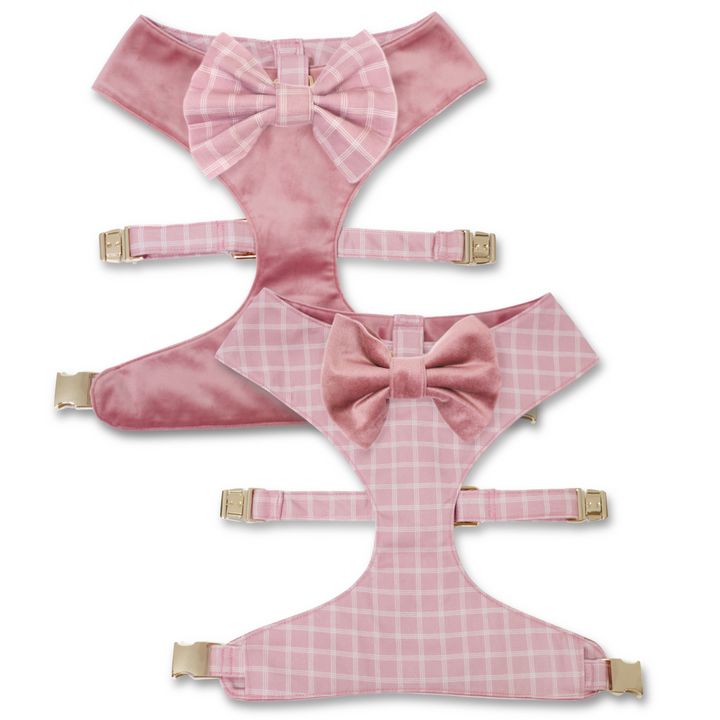 Rose Blossom Reversible Dog Harness + Bow Tie