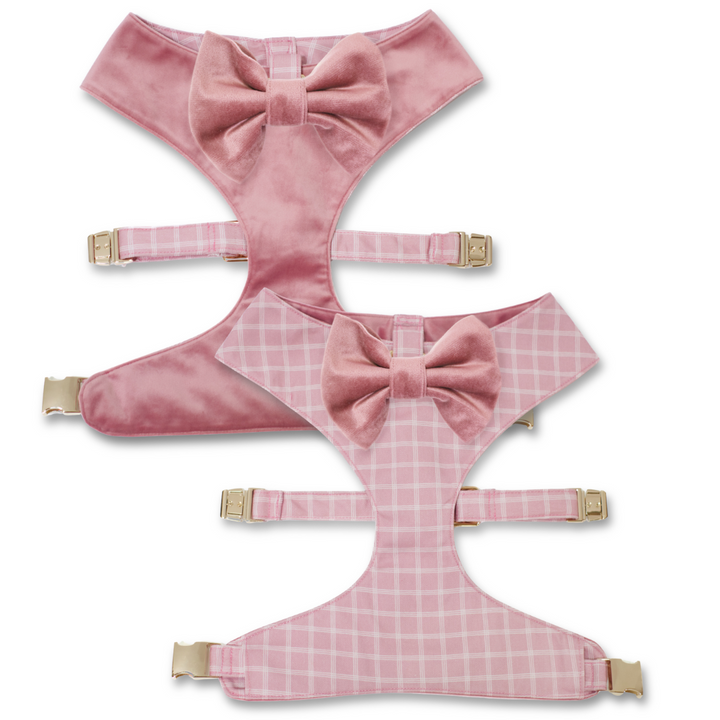 Rose Blossom Reversible Dog Harness + Bow Tie