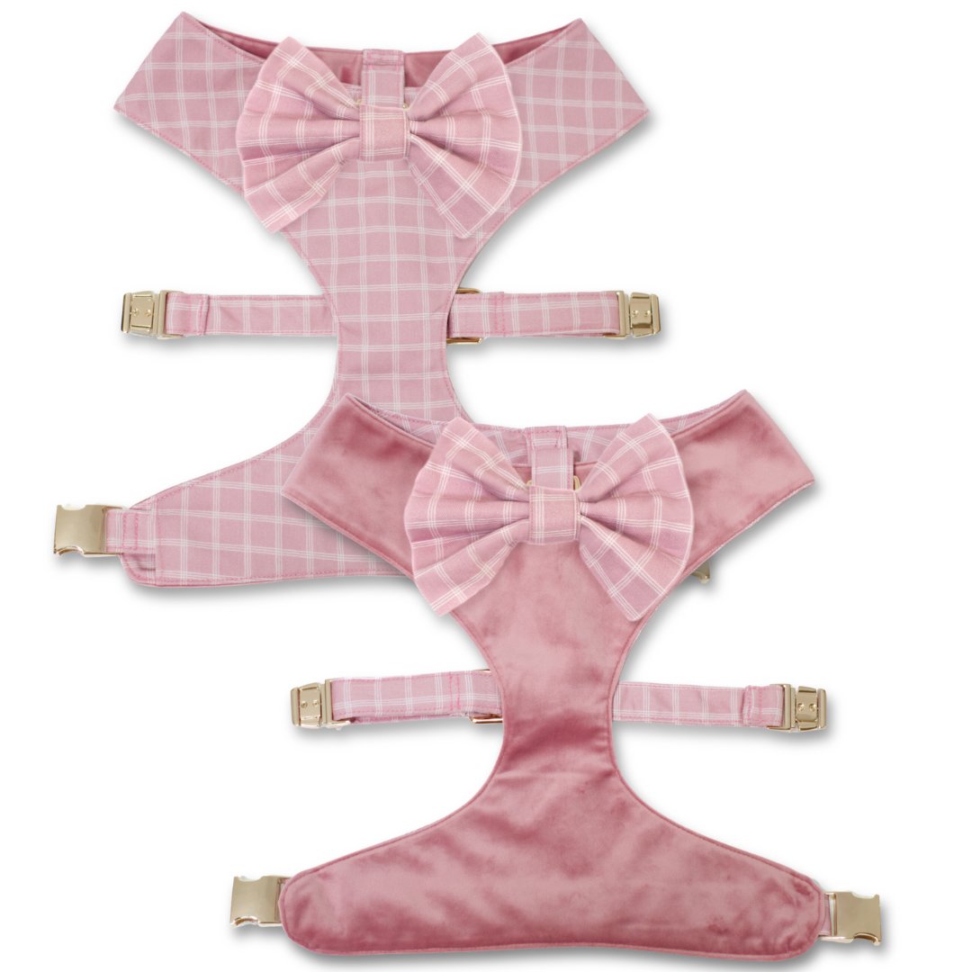 Rose Blossom Reversible Dog Harness + Bow Tie