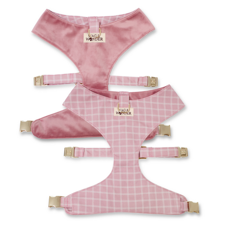 Rose Blossom Reversible Dog Harness + Sailor Bow