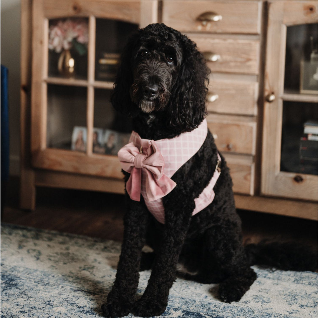 Rose Blossom Reversible Dog Harness + Rose Blossom Windowpane Sailor Bow