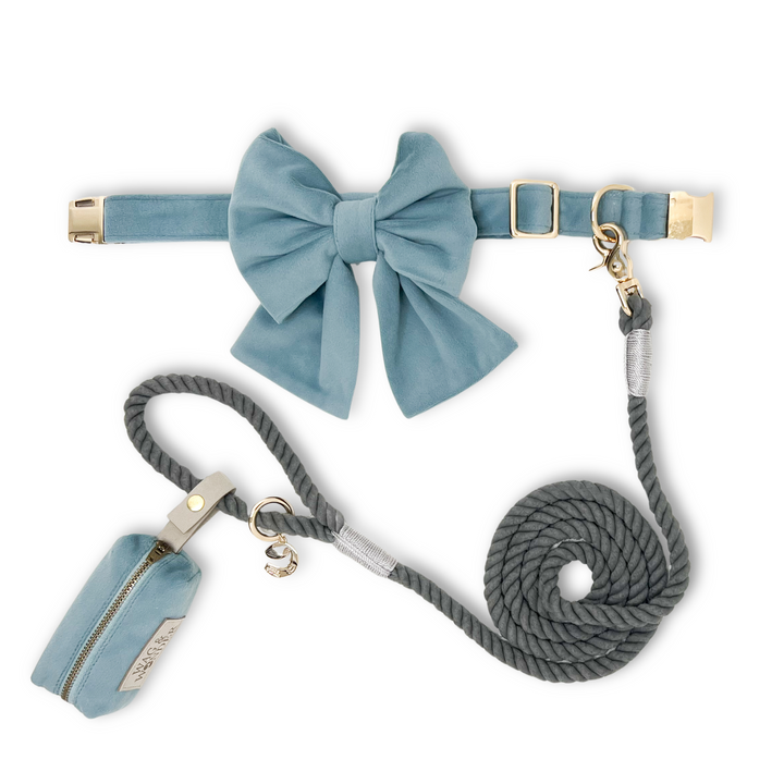 Velvet Misty River Classic Dog Collar + Sailor Bow Walk Set