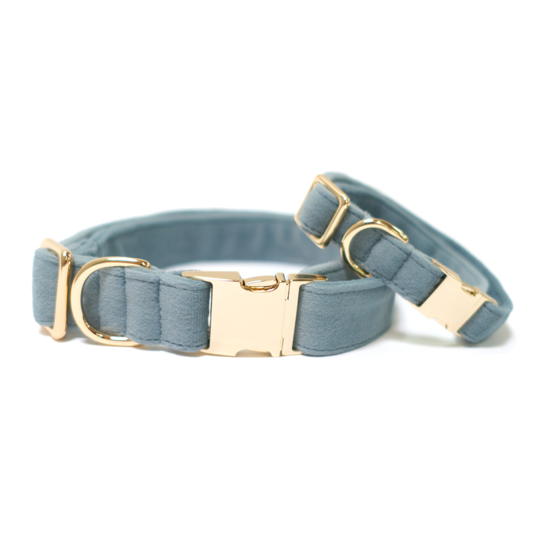 Velvet Misty River Classic Dog Collar + Sailor Bow Walk Set