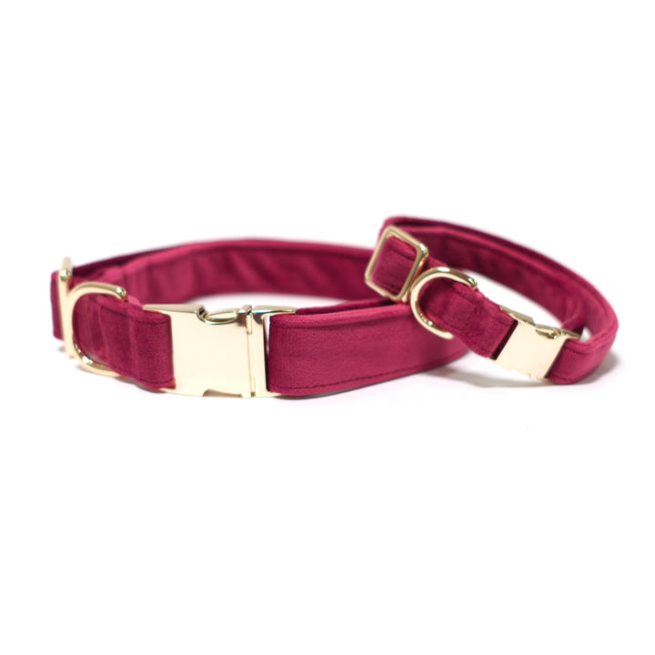 Velvet Mulberry Classic Dog Collar + Sailor Bow Walk Set