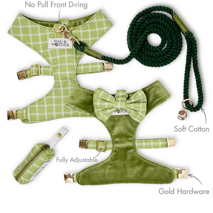 Meadow Reversible Dog Harness + Bow Tie Walk Set